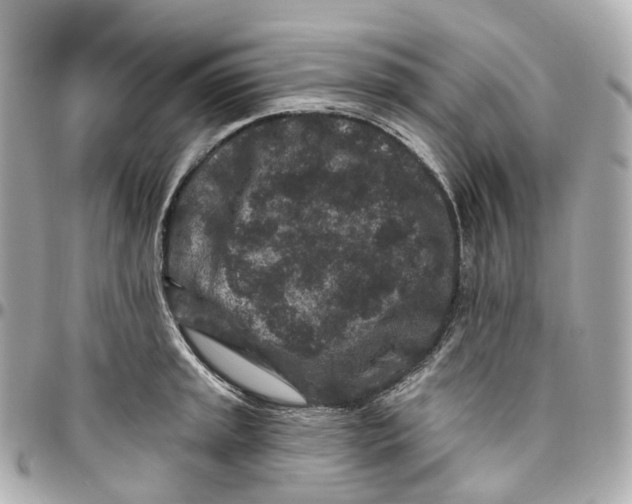 X0000095921045200802011208