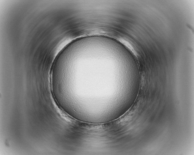 X0000095921047200802011209