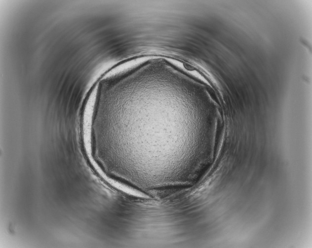 X0000095921048200802011209