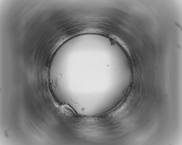 X0000095921049200802011209