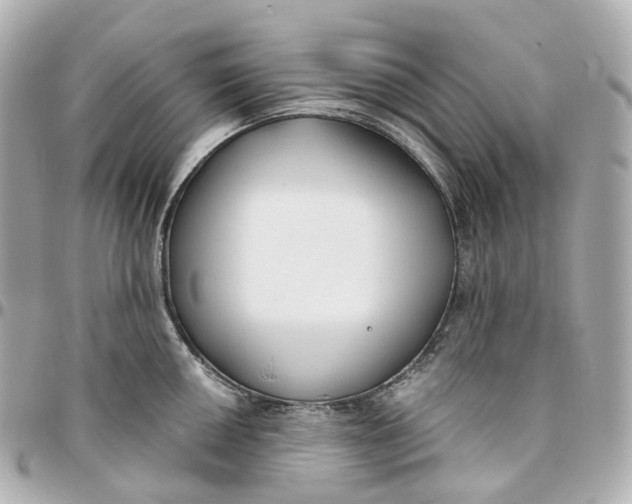 X0000095921050200802011209