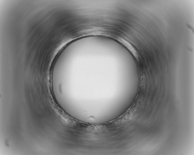 X0000095921051200802011209