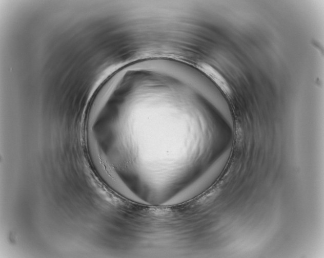 X0000095921052200802011209