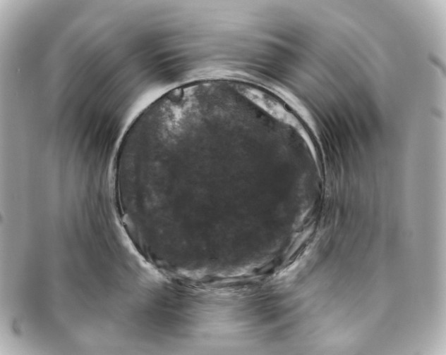 X0000095921053200802011209