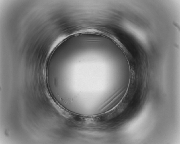 X0000095921054200802011209