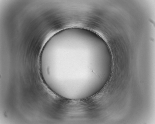 X0000095921056200802011209