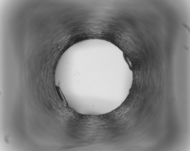 X0000095921057200802011208