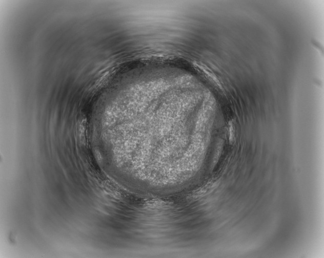 X0000095921059200802011208