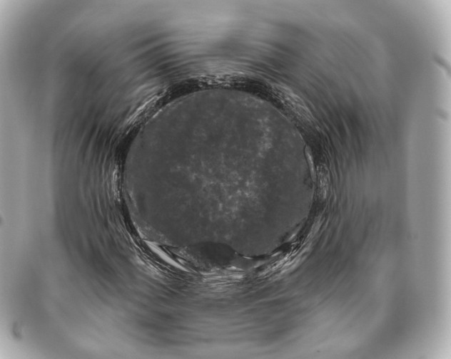 X0000095921060200802011208