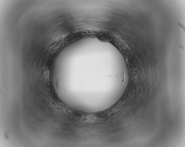 X0000095921061200802011208