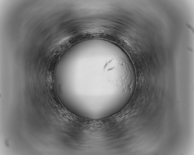 X0000095921062200802011208