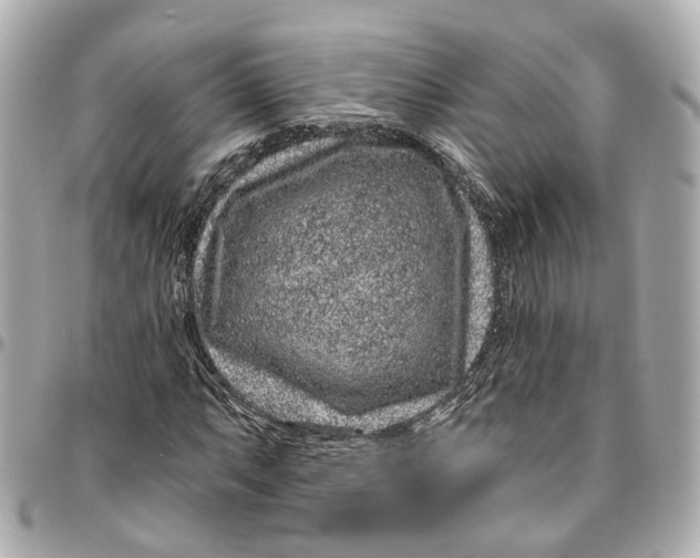 X0000095921063200802011208