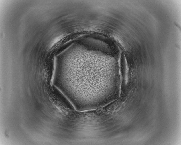 X0000095921064200802011208