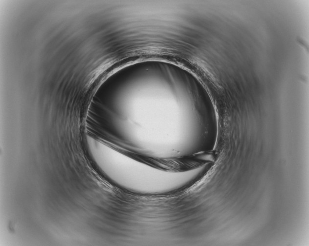 X0000095921065200802011208