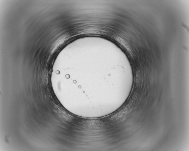 X0000095921067200802011208