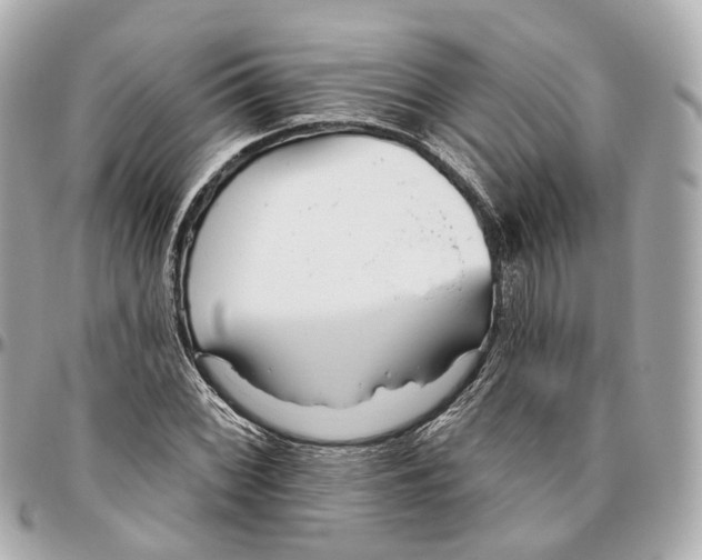 X0000095921068200802011208