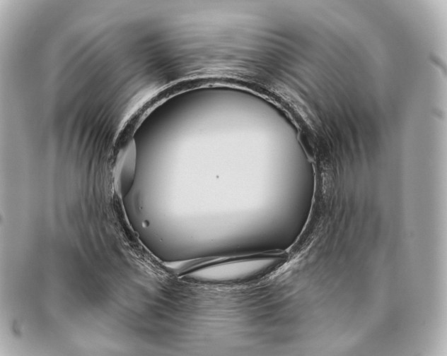 X0000095921069200802011208