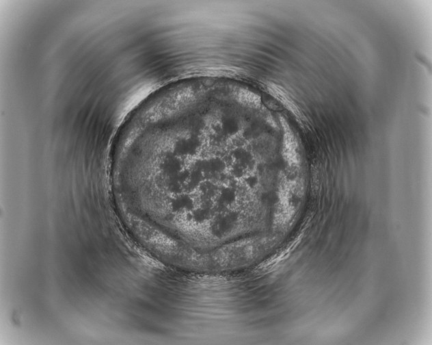 X0000095921071200802011208