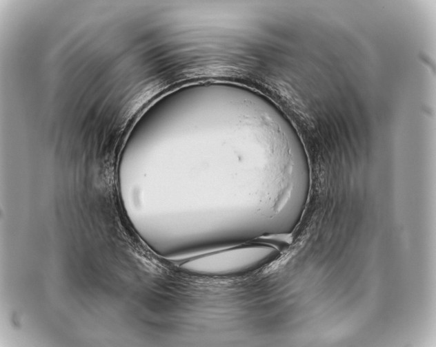 X0000095921073200802011208