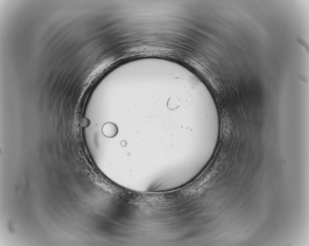 X0000095921074200802011208