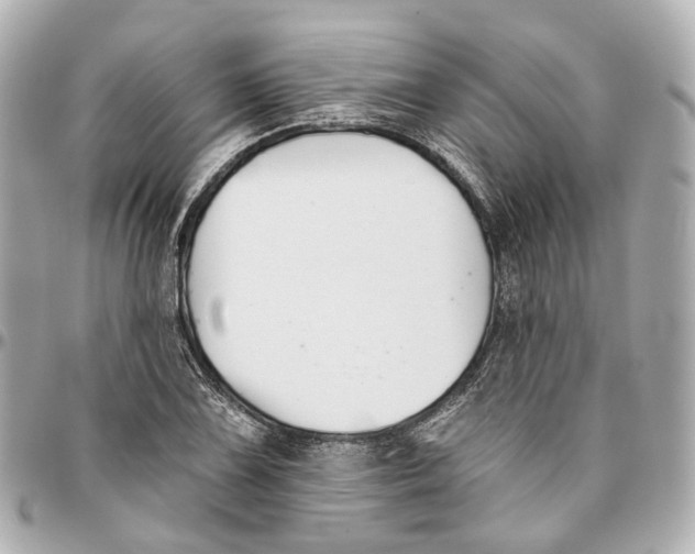 X0000095921075200802011208