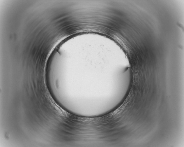 X0000095921076200802011208