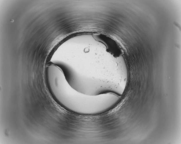 X0000095921077200802011208