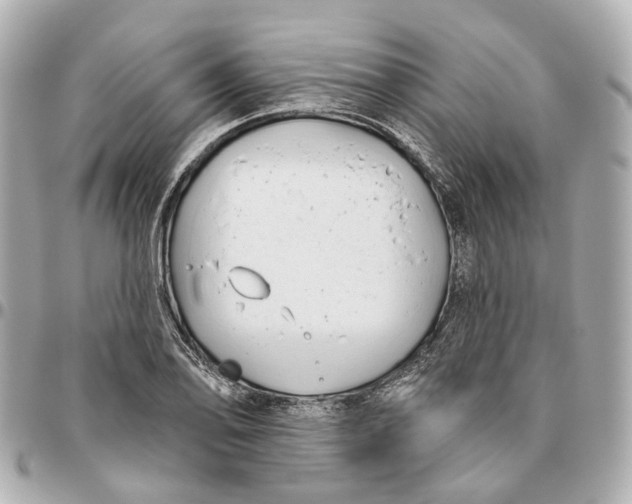 X0000095921078200802011208