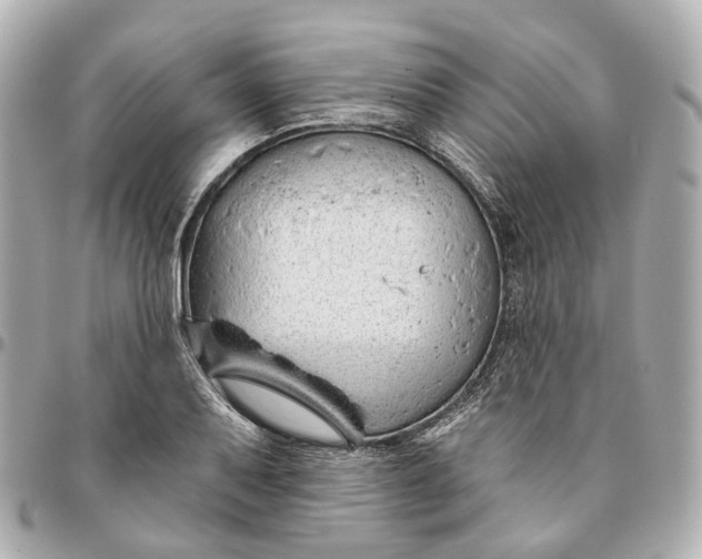 X0000095921079200802011208