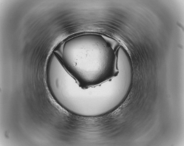 X0000095921080200802011208