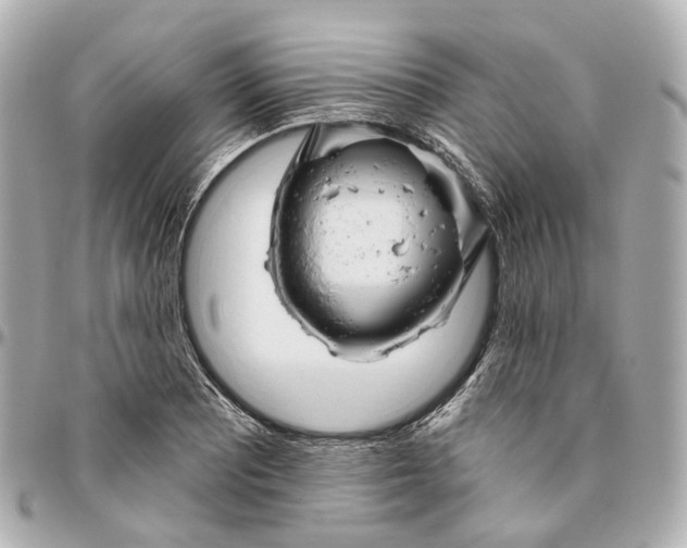 X0000095921081200802011208