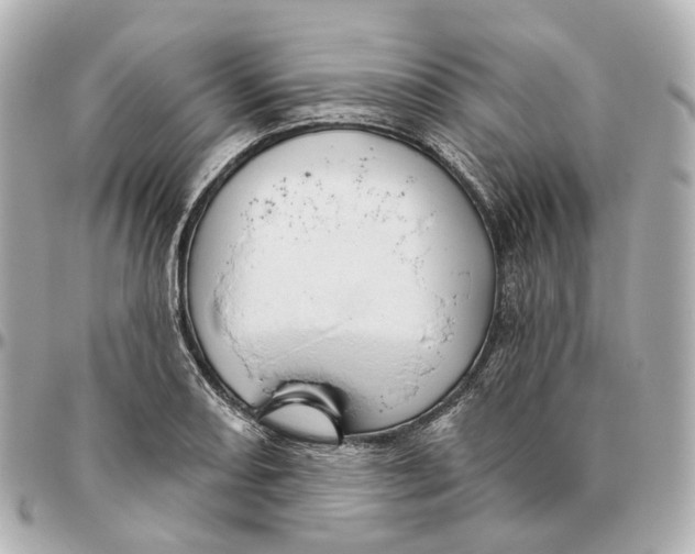 X0000095921082200802011208