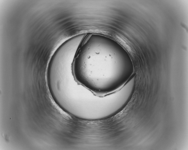 X0000095921084200802011208