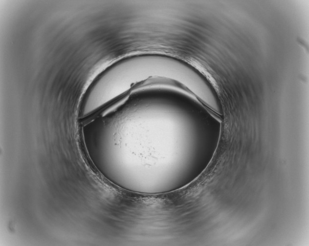 X0000095921085200802011208