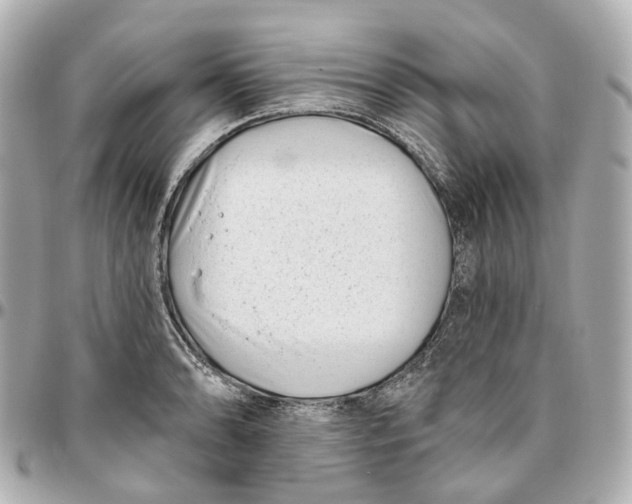 X0000095921086200802011208