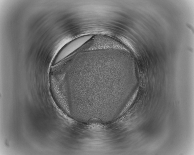 X0000095921087200802011208