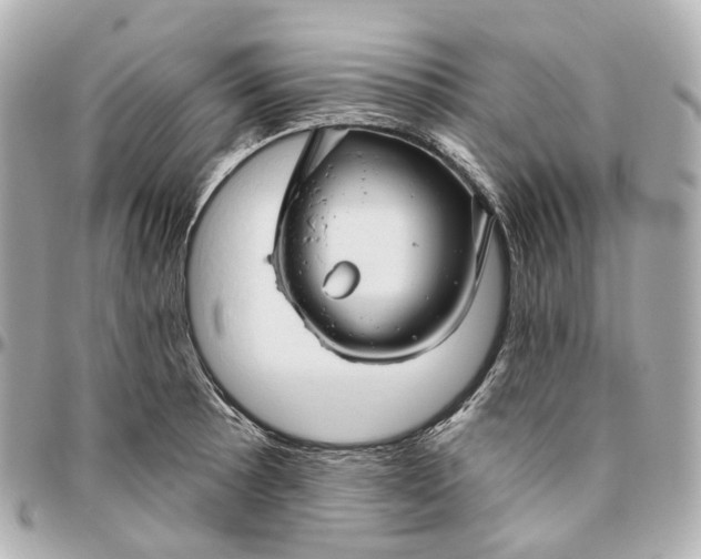 X0000095921089200802011208