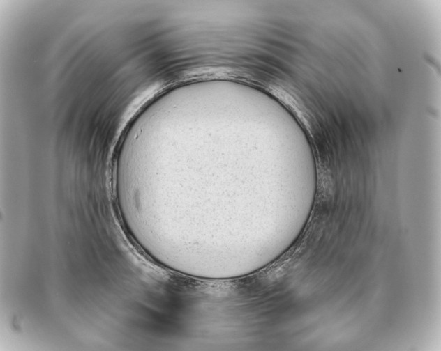 X0000095921090200802011208