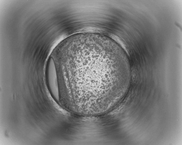 X0000095921091200802011208