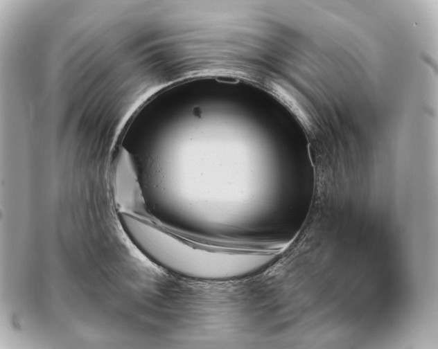 X0000095921092200802011208