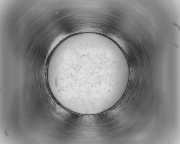 X0000095921094200802011207