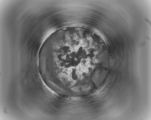 X0000095921095200802011207