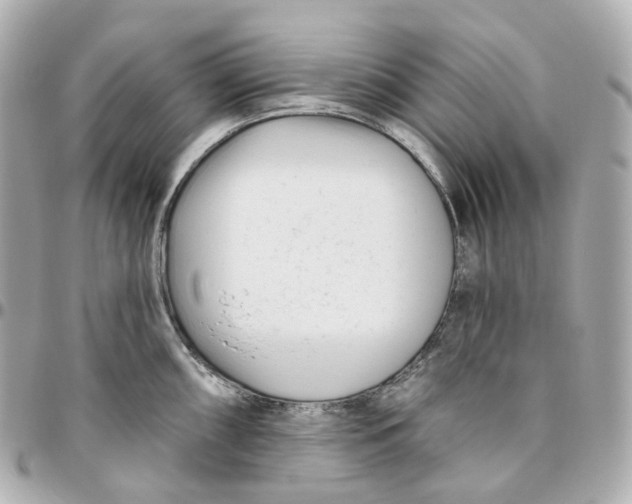 X0000095921098200802011207