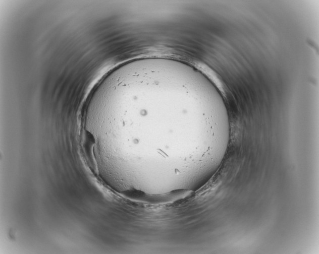 X0000095921099200802011207