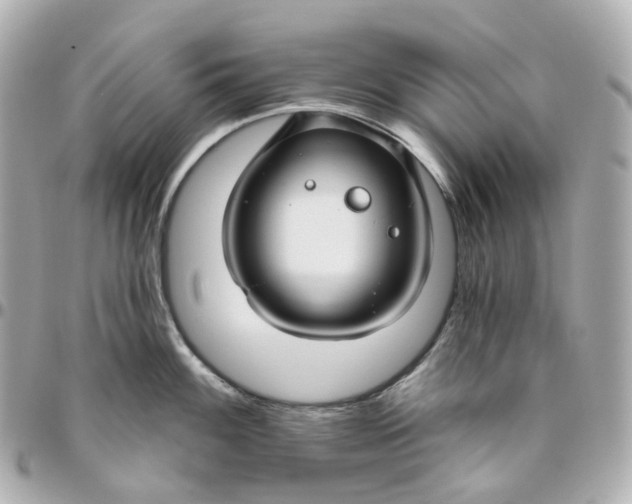 X0000095921100200802011207