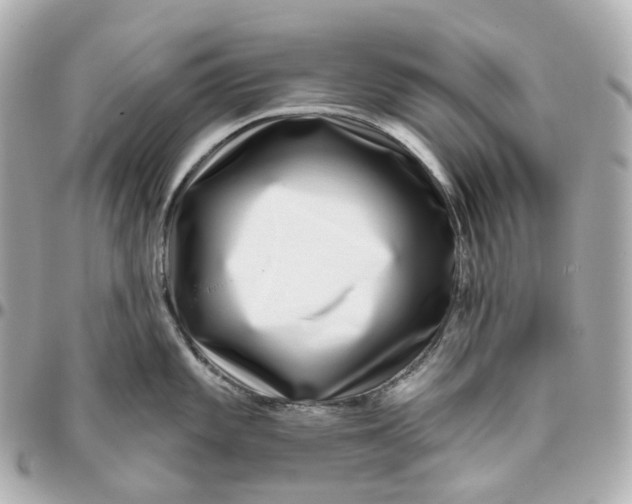 X0000095921101200802011207