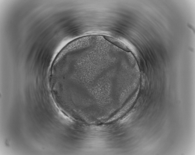 X0000095921102200802011207