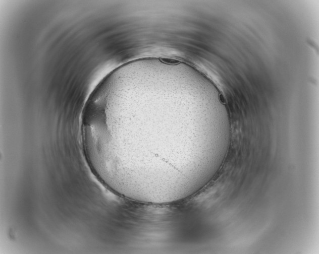 X0000095921103200802011207