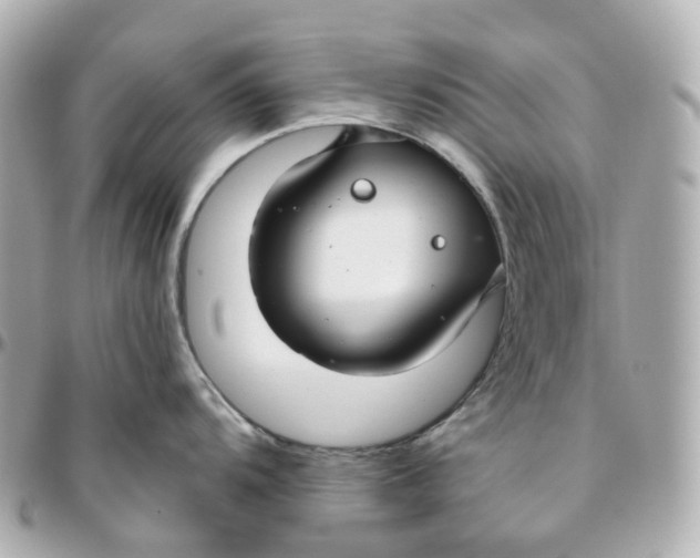 X0000095921104200802011207