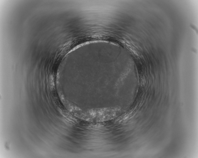 X0000095921106200802011206